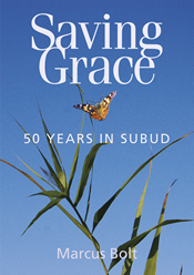 Writing: Saving Grace